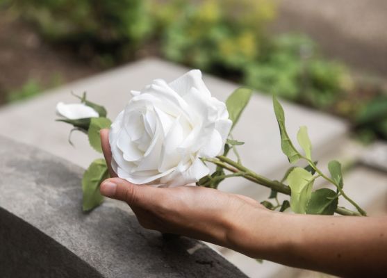 Main tenant une rose blanche en hommage funéraire, posée sur une pierre tombale dans le Pays de Gex